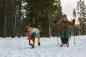 Preview: Ruffwear Lumenglow Hi Viz Jacket Red Sumac Gr. XL Preview: Ruffwear Lumenglow Hi Viz Jacket Red Sumac Gr. XL